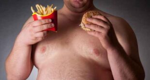 Το junk food επηρεάζει αρνητικά τη μνήμη