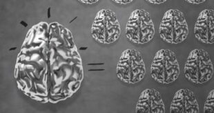 Ένα βήμα πιο κοντά στον υπερ-εγκέφαλο με συλλογική νοημοσύνη