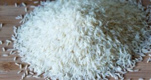 Γονίδιο-κλειδί ανοίγει τον δρόμο για μεταλλαγμένο ρύζι-θαύμα