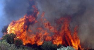 Δείτε πόσο επικίνδυνοι είναι οι ρύποι που εισπνέουμε από τις φωτιές στα δάση. Ποιοι κινδυνεύουν περισσότερο