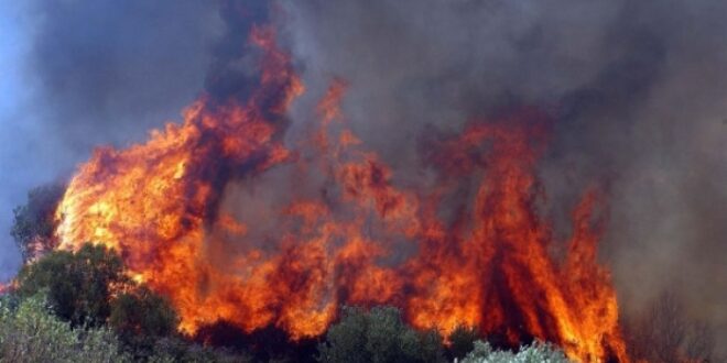 Δείτε πόσο επικίνδυνοι είναι οι ρύποι που εισπνέουμε από τις φωτιές στα δάση. Ποιοι κινδυνεύουν περισσότερο