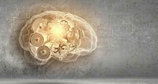 Ερευνητές κατάλαβαν για πρώτη φορά πώς σχηματίζονται οι μνήμες στον εγκέφαλο