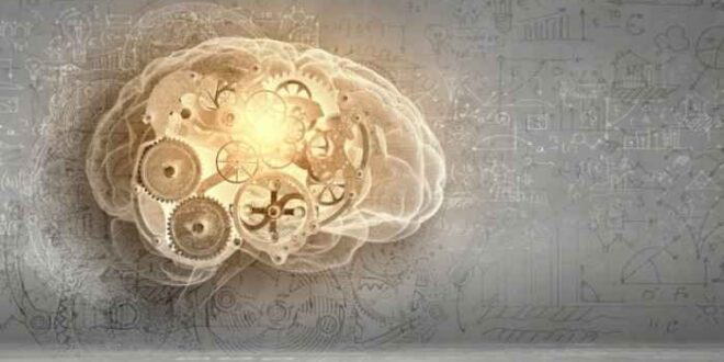 Ερευνητές κατάλαβαν για πρώτη φορά πώς σχηματίζονται οι μνήμες στον εγκέφαλο