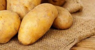 Ξεφλουδίστε μία πατάτα μέσα σε 2 δευτερόλεπτα! (βίντεο)