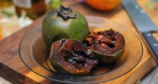 Diospyros nigra: Το φρούτο που έχει γεύση σοκολάτα!
