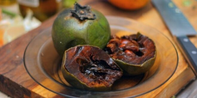 Diospyros nigra: Το φρούτο που έχει γεύση σοκολάτα!