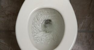 Καθαρίστε την τουαλέτα σας με...γιαούρτι!