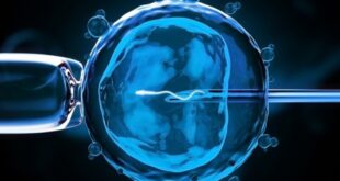Διεθνής επιστημονική ομάδα ζητά να προχωρήσει η γενετική τροποποίηση ανθρωπίνων εμβρύων