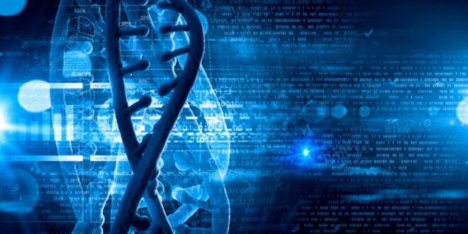 Το DNA της γυναίκας καθορίζει την έλευση της εμμηνόπαυσης