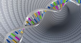 Το αρχαίο DNA ρίχνει φως στην καταγωγή των αινιγματικών Βάσκων