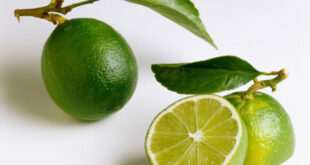 Απολέπιση σώματος με lime και ελαιόλαδο