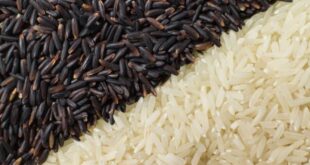 Ρύζι: Ποιο είναι πιο υγιεινό, το άσπρο ή το καστανό;