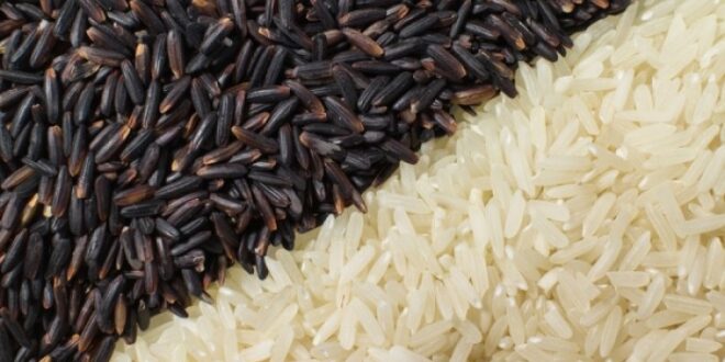 Ρύζι: Ποιο είναι πιο υγιεινό, το άσπρο ή το καστανό;