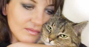 Αλλεργία στη γάτα Πώς θα μετριάσετε τα συμπτώματα
