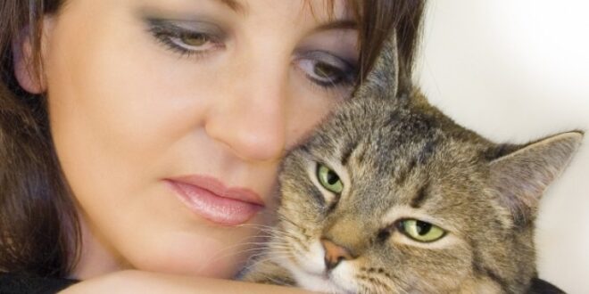 Αλλεργία στη γάτα Πώς θα μετριάσετε τα συμπτώματα