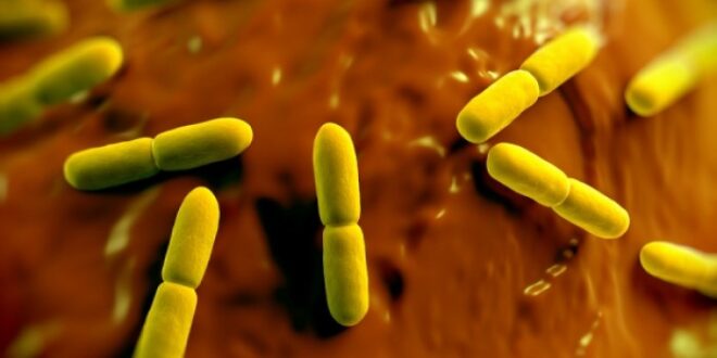 Ανησυχίες για νεοανακαλυφθέντα βακτήρια, ανθεκτικά ακόμη και στα πιο ισχυρά αντιβιοτικά