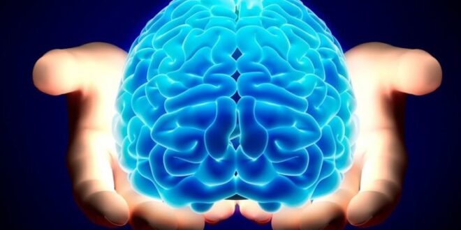 Ανακαλύφθηκαν δύο γονιδιακά δίκτυα νοημοσύνης στον εγκέφαλο