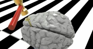Διάσειση εγκεφάλου: Συμπτώματα και πρώτες βοήθειες