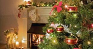 Πώς θα προφυλαχτείτε από το «σύνδρομο του χριστουγεννιάτικου δέντρου»
