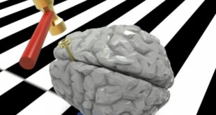 Διάσειση εγκεφάλου: Ποιο θανάσιμο κίνδυνο κρύβει