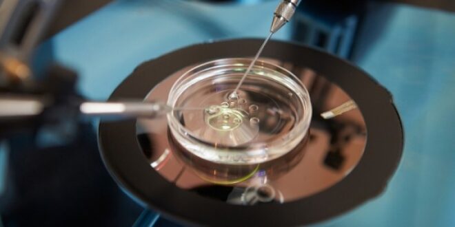 Τεχνητή γονιμοποίηση: Πρωτοποριακό τεστ προβλέπει τις πιθανότητες επιτυχίας
