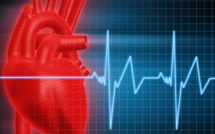 Το μυρωδικό που εμποδίζει την εξέλιξη της καρδιοπάθειας