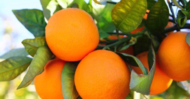Δες τι μπορεί να κάνει το πορτοκάλι για το δέρμα!