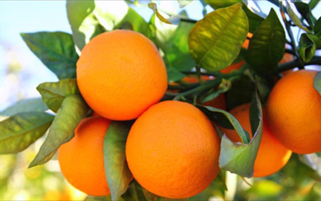 Δες τι μπορεί να κάνει το πορτοκάλι για το δέρμα!