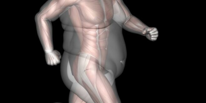 Σωματικό λίπος vs περιττά κιλά: Ποιο από τα δύο είναι δείκτης πρόωρου θανάτου