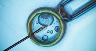 Τεχνητή γονιμοποίηση: Τι προβλέπει ο νόμος