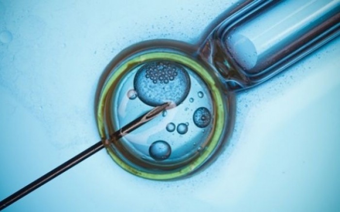 Τεχνητή γονιμοποίηση: Τι προβλέπει ο νόμος