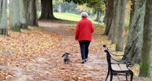 Βόλτα με τον σκύλο: Πόσο αυξάνει το προσδόκιμο ζωής