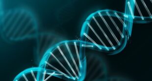 Μετά το DNA έρχεται η σειρά «χειραγώγησης» και του RNA