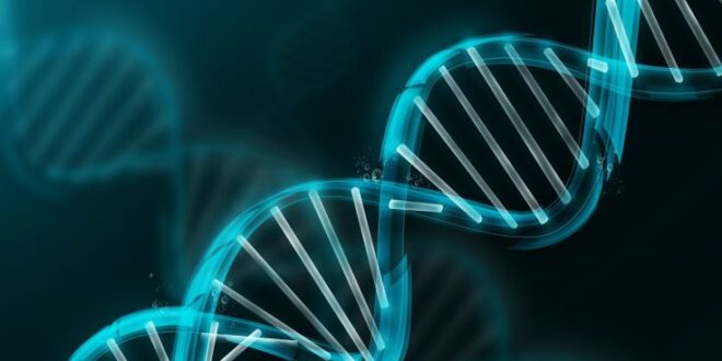 Μετά το DNA έρχεται η σειρά «χειραγώγησης» και του RNA