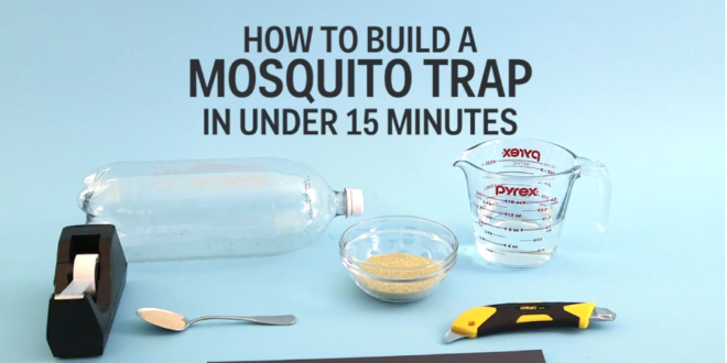 Πως να φτιάξετε μια παγίδα για τα κουνούπια σε λιγότερο από 15 λεπτά!
