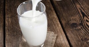 Γάλα: Η προστατευτική δράση του στο έντερο