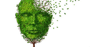 Αλτσχάιμερ: Το ρόφημα που προστατεύει τον εγκέφαλο