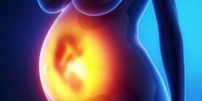 Επιπωματικός (placenta previa) και επιχείλιος πλακούντας: Όλα όσα πρέπει να γνωρίζετε
