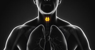 Διαταραχές θυρεοειδούς Πώς επηρεάζουν την καρδιά