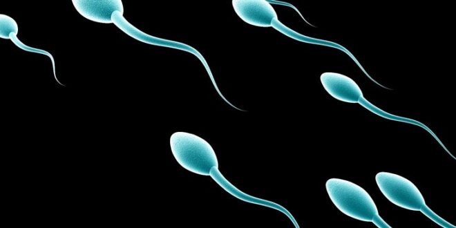 Τέσσερα πράγματα που μπλοκάρουν την ανδρική γονιμότητα