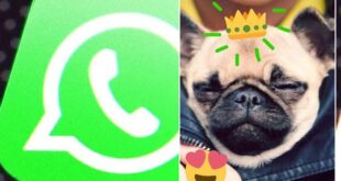 Η νέα ρύθμιση τύπου Snapchat στο WhatsApp