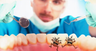 Καρκίνος παχέος εντέρου Ποιο ρόλο παίζουν τα μικρόβια του στόματος