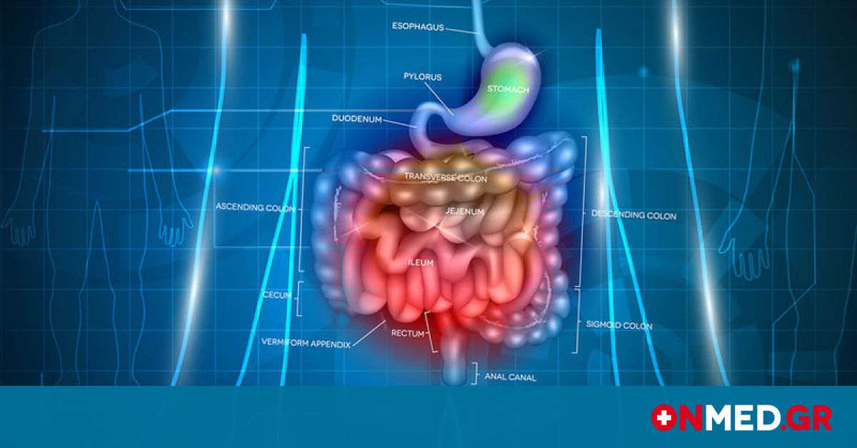 daily-news.gr-bigstock-gastrointestinal-tract-abstrac-130920803.jpg