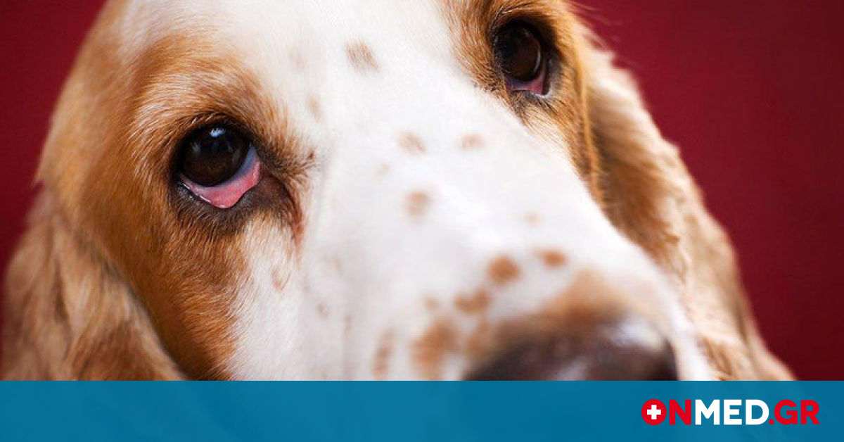 daily-news.gr-reasons-eyes-bloodshot.jpg