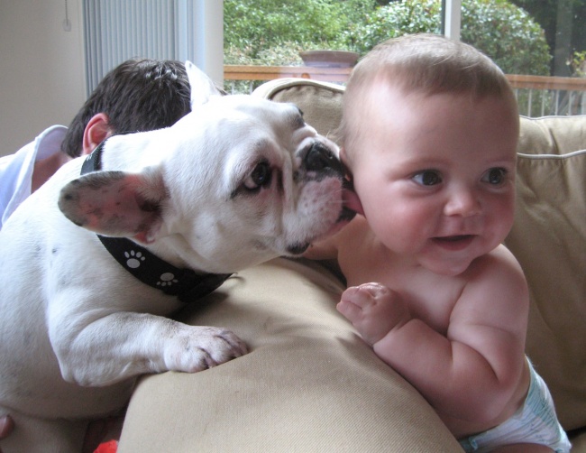201855 baby w dog 650 455342ca69 1480579310