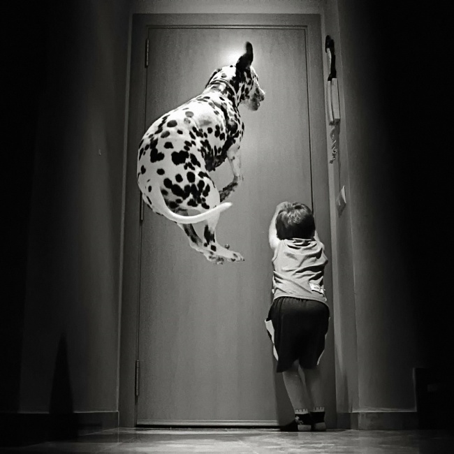 202405 jump by mc3a1ximo panc3a9s 650 76e86d3b44 1480579310
