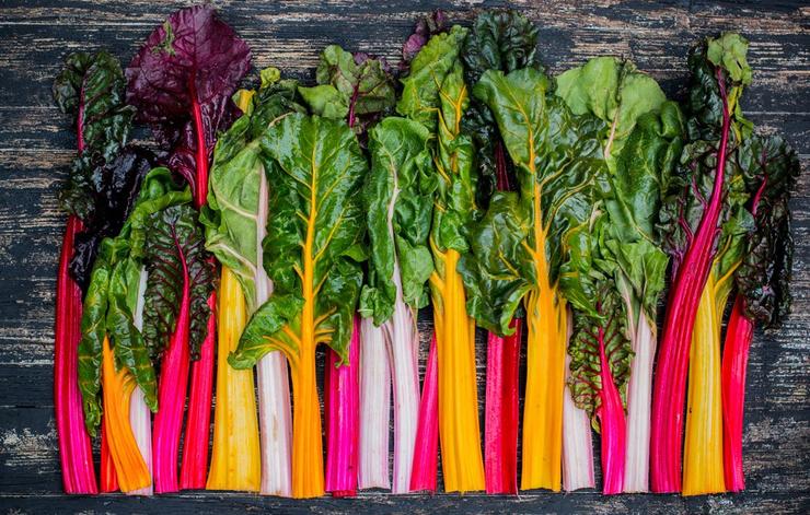 ironfoods chard 1000
