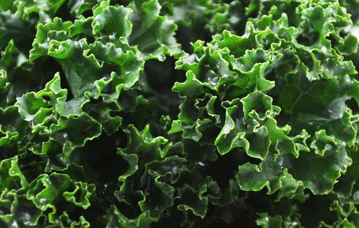 ironfoods kale 1000