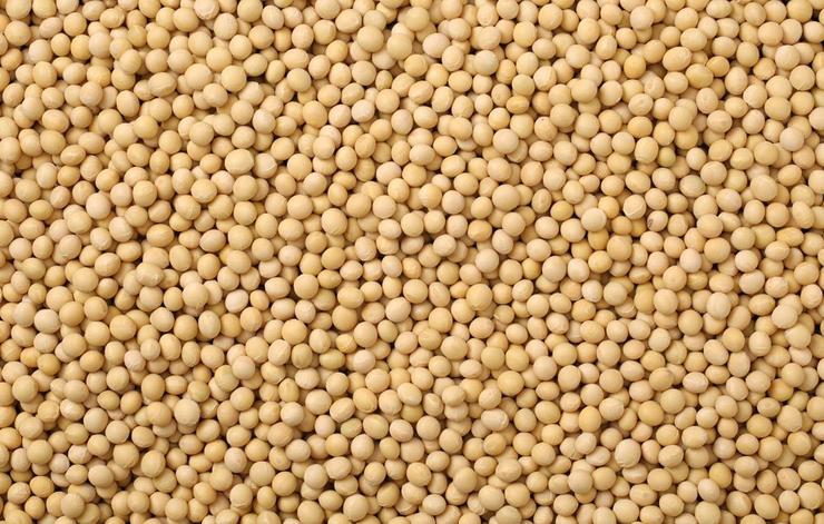 ironfoods soybeans 1000