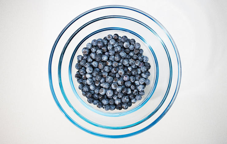 blueberries 1000 2